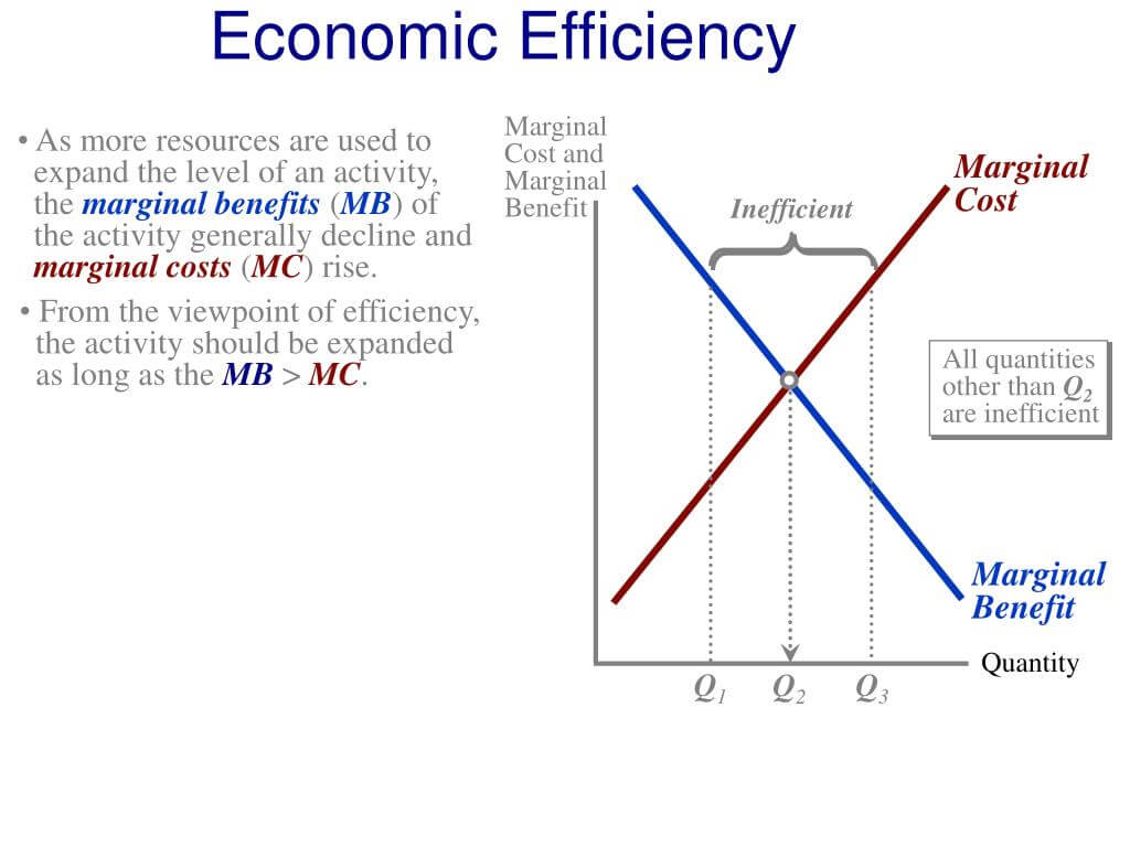 经济学人常用词汇700总结：经济效率(Economic efficiency)（042）